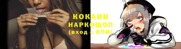 ГАЛЛЮЦИНОГЕННЫЕ ГРИБЫ Аркадак