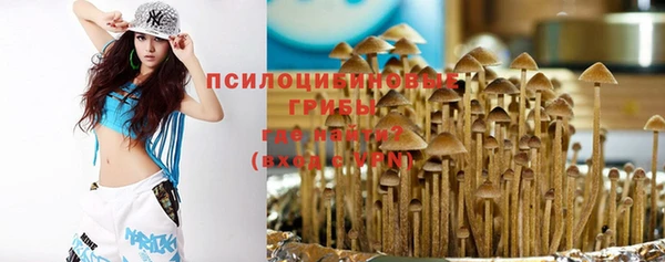ГАЛЛЮЦИНОГЕННЫЕ ГРИБЫ Аркадак