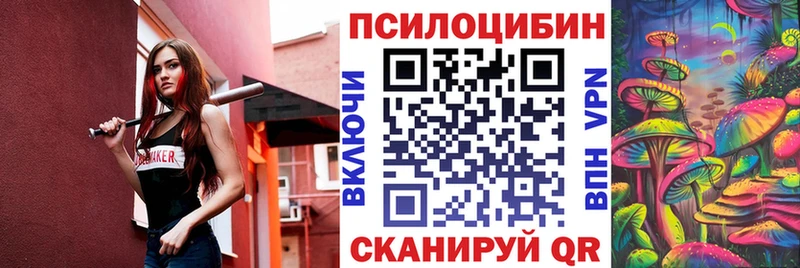 omg ссылки  Калязин  Псилоцибиновые грибы Psilocybine cubensis 